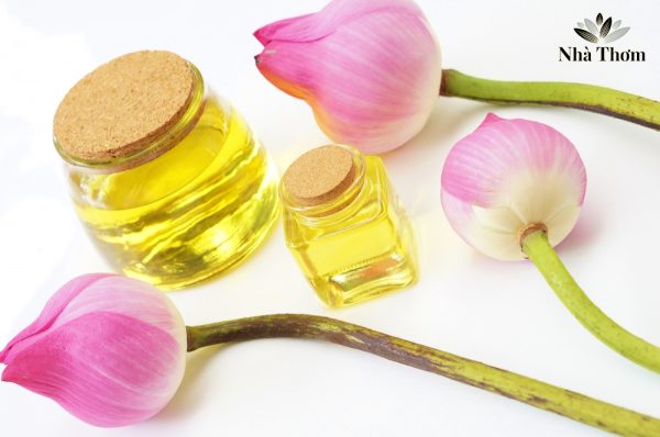 Tác dụng của tinh dầu hoa sen đối với sức khoẻ và sắc đẹp
